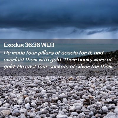 Picture 02 - Exodus 36:36 WEB - He made four pillars of acacia for it, and - Bible Verse Picture
