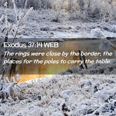 Picture 02 - Exodus 37:14 WEB - The rings were close by the border, the places - Bible Verse Picture