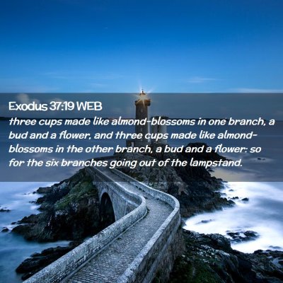 Picture 02 - Exodus 37:19 WEB - three cups made like almond-blossoms in one - Bible Verse Picture