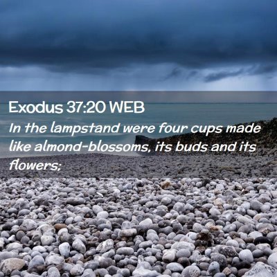 Picture 02 - Exodus 37:20 WEB - In the lampstand were four cups made like - Bible Verse Picture