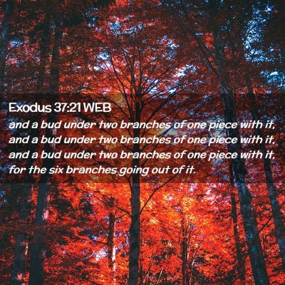 Picture 02 - Exodus 37:21 WEB - and a bud under two branches of one piece with - Bible Verse Picture
