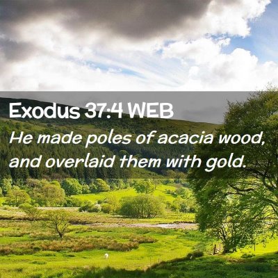 Picture 02 - Exodus 37:4 WEB - He made poles of acacia wood, and overlaid them - Bible Verse Picture
