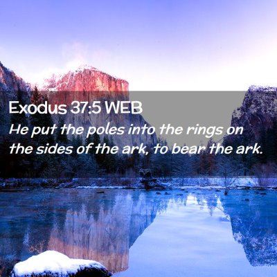Picture 02 - Exodus 37:5 WEB - He put the poles into the rings on the sides of - Bible Verse Picture