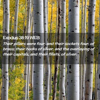 Picture 02 - Exodus 38:19 WEB - Their pillars were four, and their sockets four, - Bible Verse Picture