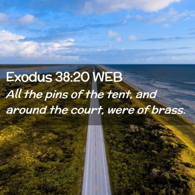 Picture 02 - Exodus 38:20 WEB - All the pins of the tent, and around the court, - Bible Verse Picture