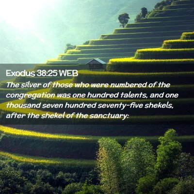 Picture 02 - Exodus 38:25 WEB - The silver of those who were numbered of the - Bible Verse Picture