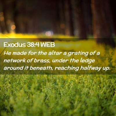 Picture 02 - Exodus 38:4 WEB - He made for the altar a grating of a network of - Bible Verse Picture