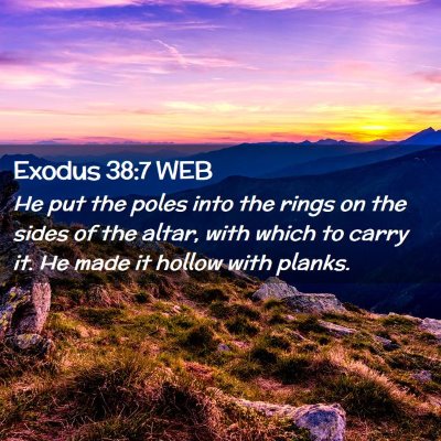 Picture 02 - Exodus 38:7 WEB - He put the poles into the rings on the sides of - Bible Verse Picture