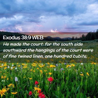 Picture 02 - Exodus 38:9 WEB - He made the court: for the south side southward - Bible Verse Picture