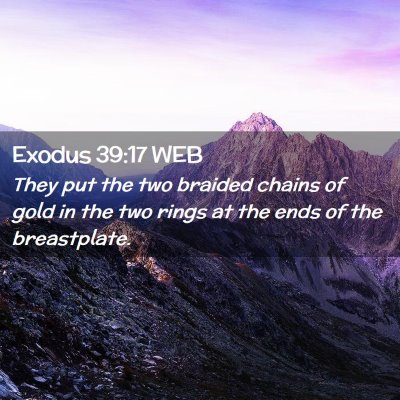 Picture 02 - Exodus 39:17 WEB - They put the two braided chains of gold in the - Bible Verse Picture