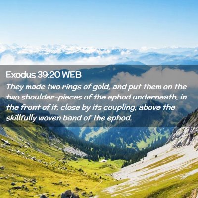 Picture 02 - Exodus 39:20 WEB - They made two rings of gold, and put them on the - Bible Verse Picture