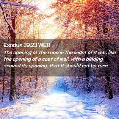Picture 02 - Exodus 39:23 WEB - The opening of the robe in the midst of it was - Bible Verse Picture