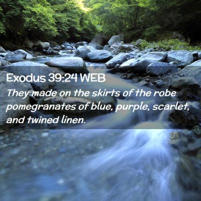 Picture 02 - Exodus 39:24 WEB - They made on the skirts of the robe pomegranates - Bible Verse Picture