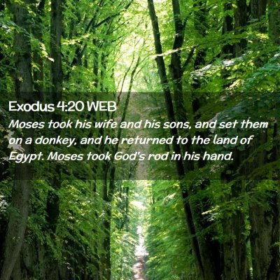Picture 02 - Exodus 4:20 WEB - Moses took his wife and his sons, and set them on - Bible Verse Picture