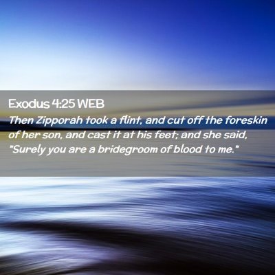 Picture 02 - Exodus 4:25 WEB - Then Zipporah took a flint, and cut off the - Bible Verse Picture