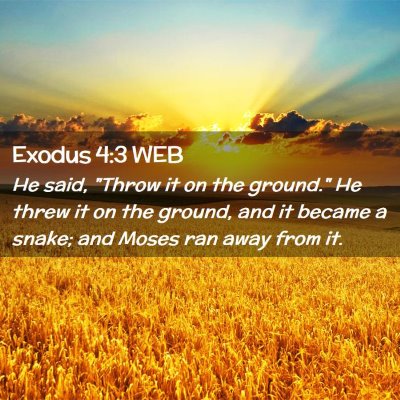 Picture 02 - Exodus 4:3 WEB - He said, 
