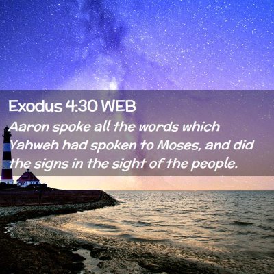 Picture 02 - Exodus 4:30 WEB - Aaron spoke all the words which Yahweh had spoken - Bible Verse Picture