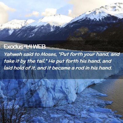 Picture 02 - Exodus 4:4 WEB - Yahweh said to Moses, 