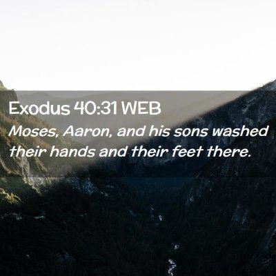 Picture 02 - Exodus 40:31 WEB - Moses, Aaron, and his sons washed their hands and - Bible Verse Picture