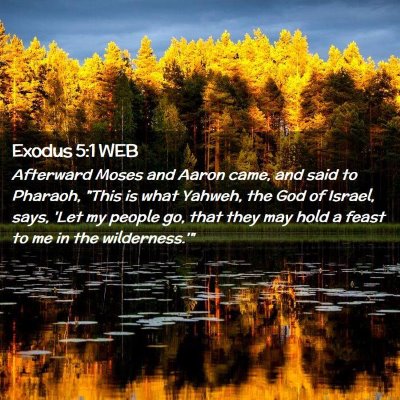 Picture 02 - Exodus 5:1 WEB - Afterward Moses and Aaron came, and said to - Bible Verse Picture