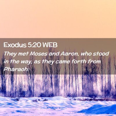 Picture 02 - Exodus 5:20 WEB - They met Moses and Aaron, who stood in the way, - Bible Verse Picture