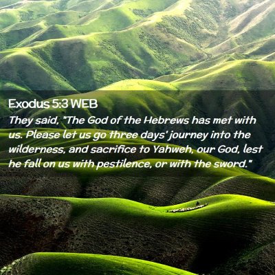 Picture 02 - Exodus 5:3 WEB - They said, 