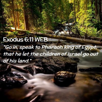 Picture 02 - Exodus 6:11 WEB - 