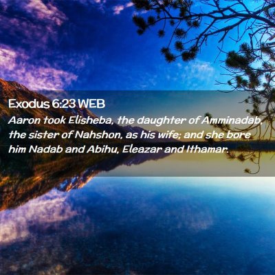 Picture 02 - Exodus 6:23 WEB - Aaron took Elisheba, the daughter of Amminadab, - Bible Verse Picture