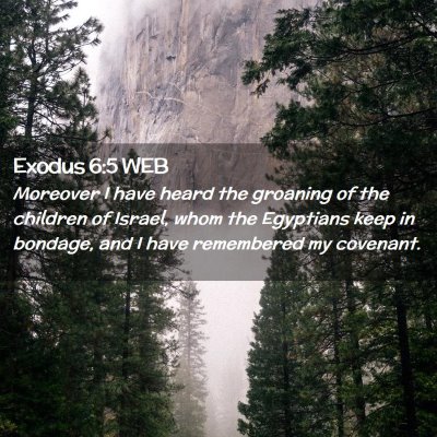 Picture 02 - Exodus 6:5 WEB - Moreover I have heard the groaning of the - Bible Verse Picture