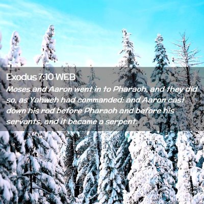 Picture 02 - Exodus 7:10 WEB - Moses and Aaron went in to Pharaoh, and they did - Bible Verse Picture