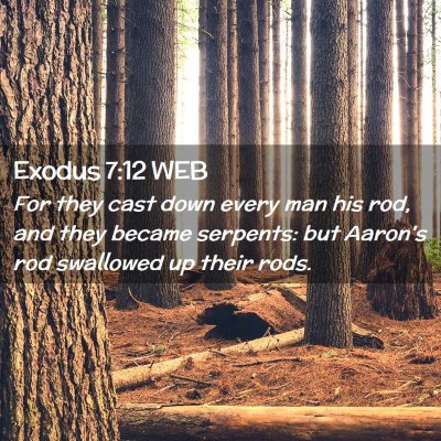 Picture 02 - Exodus 7:12 WEB - For they cast down every man his rod, and they - Bible Verse Picture