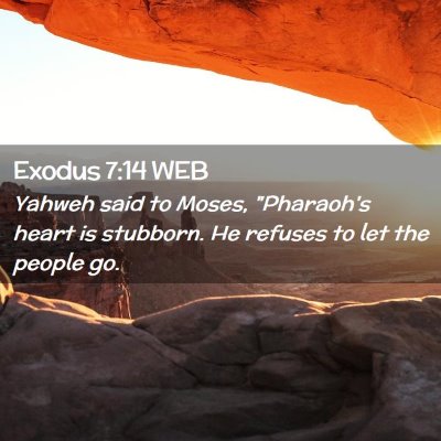 Picture 02 - Exodus 7:14 WEB - Yahweh said to Moses, 