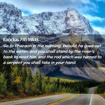 Picture 02 - Exodus 7:15 WEB - Go to Pharaoh in the morning. Behold, he goes out - Bible Verse Picture