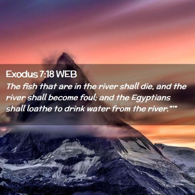 Picture 02 - Exodus 7:18 WEB - The fish that are in the river shall die, and the - Bible Verse Picture