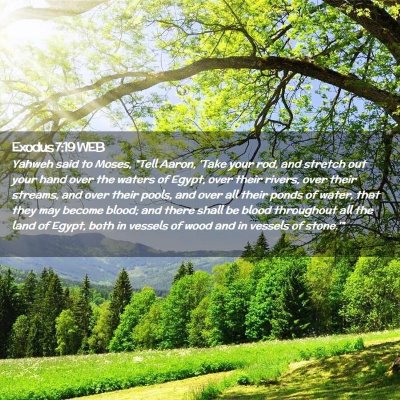 Picture 02 - Exodus 7:19 WEB - Yahweh said to Moses, 