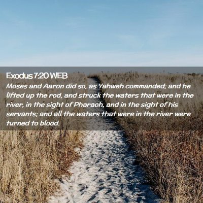 Picture 02 - Exodus 7:20 WEB - Moses and Aaron did so, as Yahweh commanded; and - Bible Verse Picture