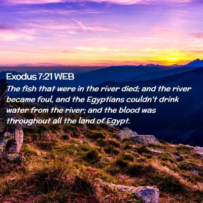 Picture 02 - Exodus 7:21 WEB - The fish that were in the river died; and the - Bible Verse Picture