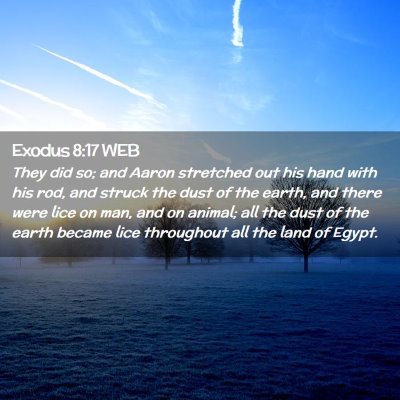 Picture 02 - Exodus 8:17 WEB - They did so; and Aaron stretched out his hand - Bible Verse Picture