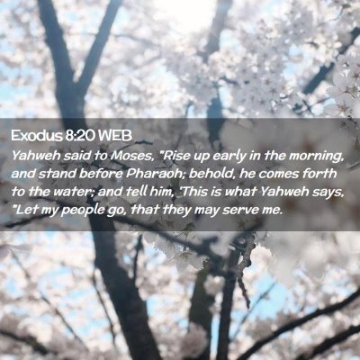 Picture 02 - Exodus 8:20 WEB - Yahweh said to Moses, 