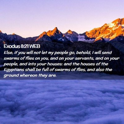 Picture 02 - Exodus 8:21 WEB - Else, if you will not let my people go, behold, I - Bible Verse Picture