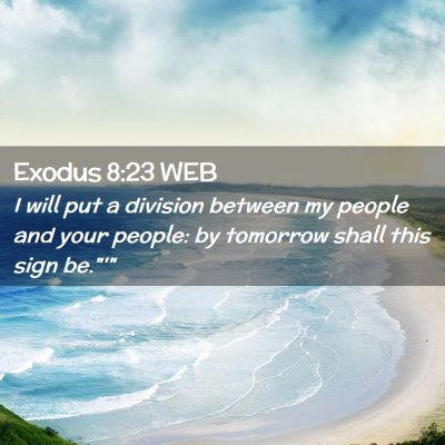 Picture 02 - Exodus 8:23 WEB - I will put a division between my people and your - Bible Verse Picture