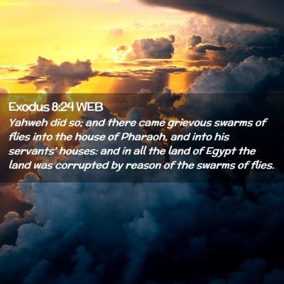 Picture 02 - Exodus 8:24 WEB - Yahweh did so; and there came grievous swarms of - Bible Verse Picture