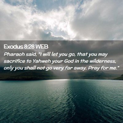 Picture 02 - Exodus 8:28 WEB - Pharaoh said, 