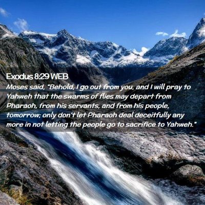 Picture 02 - Exodus 8:29 WEB - Moses said, 