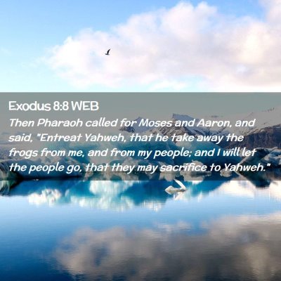 Picture 02 - Exodus 8:8 WEB - Then Pharaoh called for Moses and Aaron, and - Bible Verse Picture