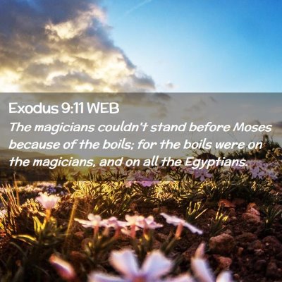 Picture 02 - Exodus 9:11 WEB - The magicians couldn't stand before Moses because - Bible Verse Picture