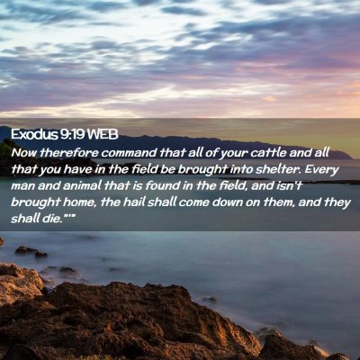 Picture 02 - Exodus 9:19 WEB - Now therefore command that all of your cattle and - Bible Verse Picture