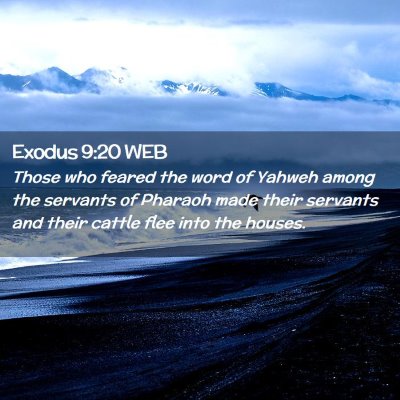 Picture 02 - Exodus 9:20 WEB - Those who feared the word of Yahweh among the - Bible Verse Picture