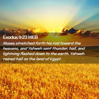 Picture 02 - Exodus 9:23 WEB - Moses stretched forth his rod toward the heavens, - Bible Verse Picture