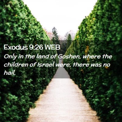 Picture 02 - Exodus 9:26 WEB - Only in the land of Goshen, where the children of - Bible Verse Picture